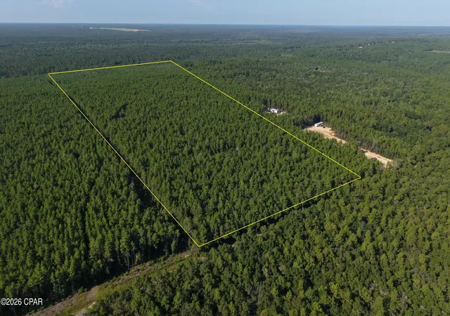 Photo 1 of Land for sale at A Trawick Crk Rd, Holt, FL 32564 | MLS# 794374 | Listing updated on 2026-10-05