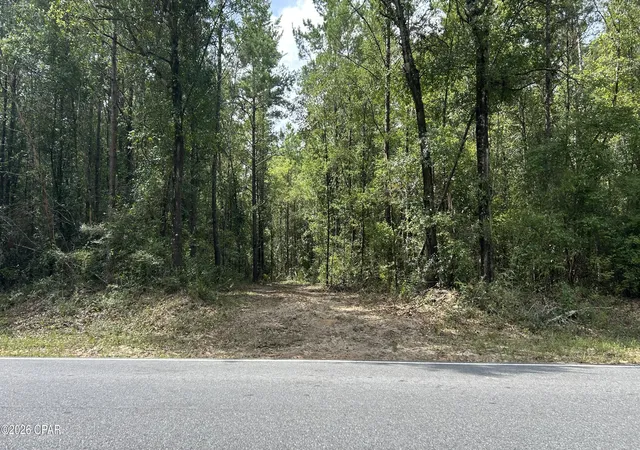 Photo 2 of Land for sale at A Trawick Crk Rd, Holt, FL 32564 | MLS# 794374 | Listing updated on 2026-10-05