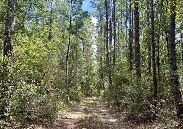 Photo 3 of Land for sale at A Trawick Crk Rd, Holt, FL 32564 | MLS# 794374 | Listing updated on 2026-10-05
