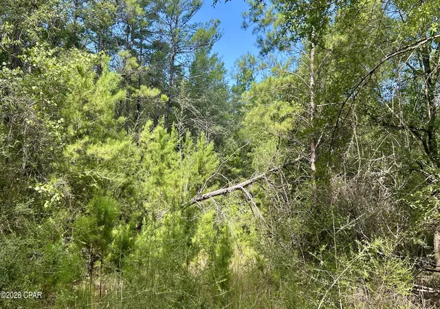Photo 3 of Land for sale at A Trawick Crk Rd, Holt, FL 32564 | MLS# 794374 | Listing updated on 2026-10-05