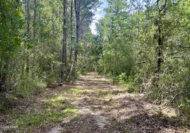 Photo 4 of Land for sale at A Trawick Crk Rd, Holt, FL 32564 | MLS# 794374 | Listing updated on 2026-10-05