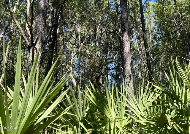 Photo 1 of Land for sale at B Trawick Crk Rd, Holt, FL 32564 | MLS# 794377 | Listing updated on 2026-10-05