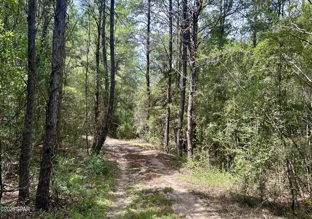 Photo 3 of Land for sale at B Trawick Crk Rd, Holt, FL 32564 | MLS# 794377 | Listing updated on 2026-10-05