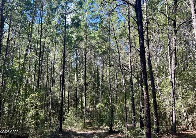 Photo 3 of Land for sale at B Trawick Crk Rd, Holt, FL 32564 | MLS# 794377 | Listing updated on 2026-10-05