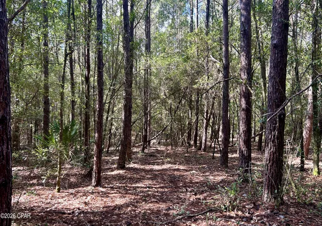 Photo 4 of Land for sale at B Trawick Crk Rd, Holt, FL 32564 | MLS# 794377 | Listing updated on 2026-10-05