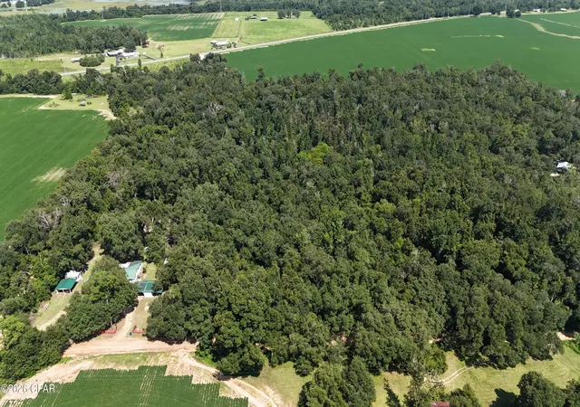 Photo 1 of Land for sale at 00 Conner Rd, Grand Ridge, FL 32442 | MLS# 794397 | Listing updated on 2026-09-17