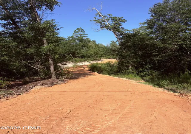 Photo 1 of Land for sale at 0000 Blue Springs Rd, Youngstown, FL 32466 | MLS# 794405 | Listing updated on 2026-09-02