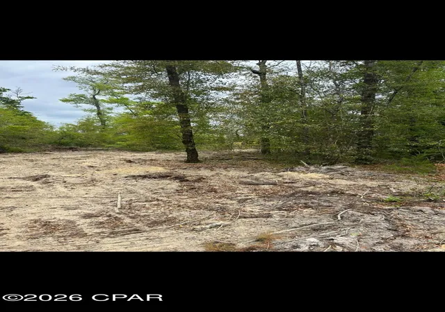 Photo 3 of Land for sale at 0000 Blue Springs Rd, Youngstown, FL 32466 | MLS# 794405 | Listing updated on 2026-09-02