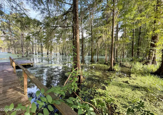 Photo 3 of Single family home for sale at 5255 Limestone Ln, Marianna, FL 32446 | MLS# 794453 | Listing updated on 2026-09-25
