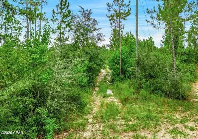 Photo 2 of Land for sale at 17012 Aawsaw Ln, Fountain, FL 32438 | MLS# 794500 | Listing updated on 2026-08-24