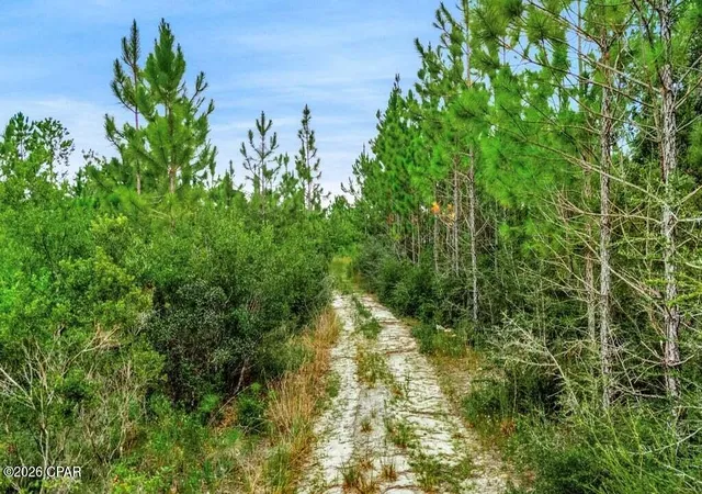 Photo 3 of Land for sale at 17012 Aawsaw Ln, Fountain, FL 32438 | MLS# 794500 | Listing updated on 2026-08-24