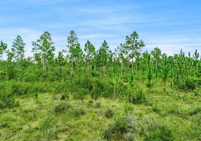 Photo 3 of Land for sale at 17012 Aawsaw Ln, Fountain, FL 32438 | MLS# 794500 | Listing updated on 2026-08-24