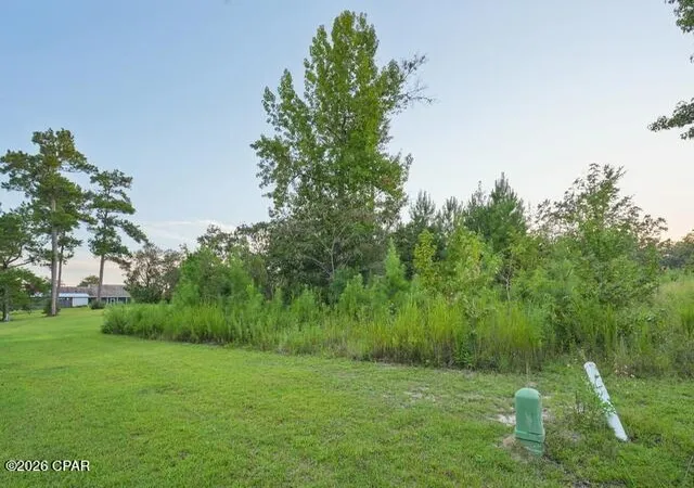 Photo 1 of Land for sale at 0 Charlie Gaskin Dr, Wewahitchka, FL 32465 | MLS# 794579 | Listing updated on 2026-09-03