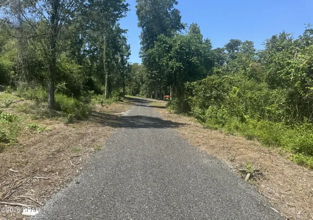 Photo 3 of Land for sale at 0 Indian Springs Rd, Marianna, FL 32446 | MLS# 794619 | Listing updated on 2026-09-03