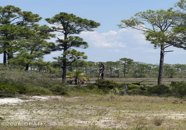 Photo 3 of Land for sale at 4746 Cape San Blas Rd, Port St Joe, FL 32456 | MLS# 794638 | Listing updated on 2026-09-24