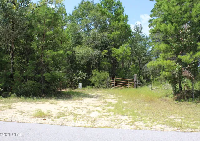 Land for sale at Tbd New Jerusalem Rd, Vernon, FL 32462 | MLS# 794664
