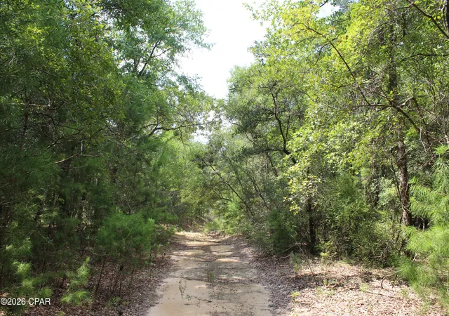 Photo 2 of Land for sale at Tbd New Jerusalem Rd, Vernon, FL 32462 | MLS# 794664 | Listing updated on 2026-09-15