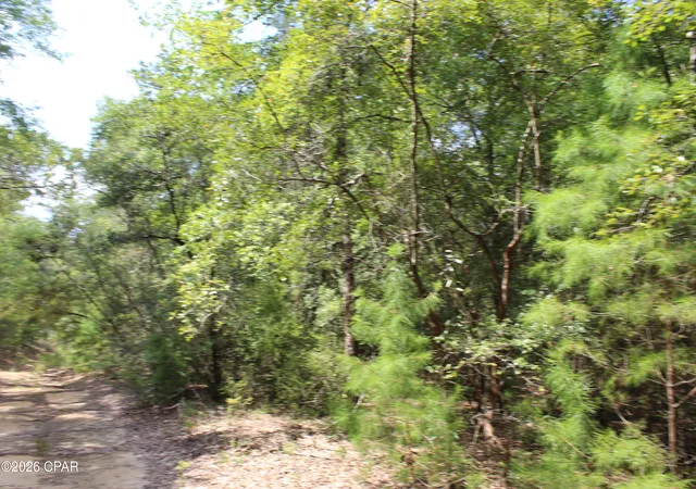 Photo 3 of Land for sale at Tbd New Jerusalem Rd, Vernon, FL 32462 | MLS# 794664 | Listing updated on 2026-09-15