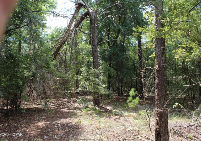 Photo 3 of Land for sale at Tbd New Jerusalem Rd, Vernon, FL 32462 | MLS# 794664 | Listing updated on 2026-09-15