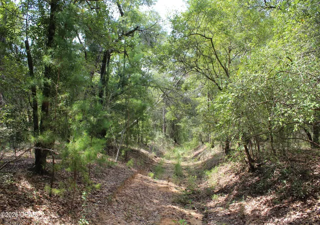 Photo 4 of Land for sale at Tbd New Jerusalem Rd, Vernon, FL 32462 | MLS# 794664 | Listing updated on 2026-09-15