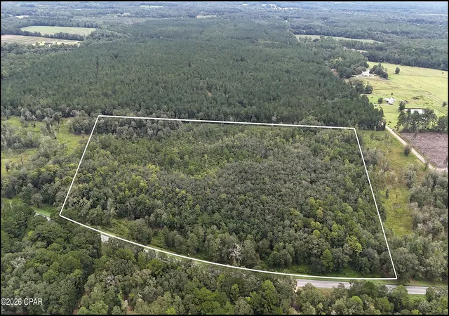 Photo 1 of Land for sale at 00 Hwy 173, Graceville, FL 32440 | MLS# 794679 | Listing updated on 2026-09-05