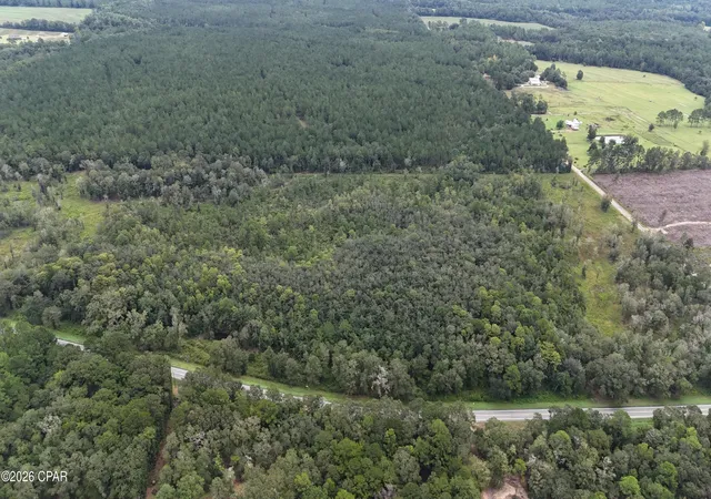 Photo 2 of Land for sale at 00 Hwy 173, Graceville, FL 32440 | MLS# 794679 | Listing updated on 2026-09-05