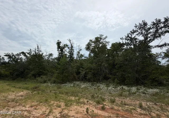 Photo 1 of Land for sale at Lot 3 Lanai Ct, Alford, FL 32420 | MLS# 794681 | Listing updated on 2026-09-09