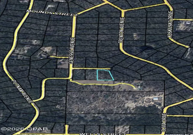 Photo 4 of Land for sale at Lot 3 Lanai Ct, Alford, FL 32420 | MLS# 794681 | Listing updated on 2026-09-09