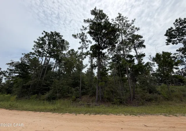 Photo 2 of Land for sale at Lot 12 Postpile Cir, Alford, FL 32420 | MLS# 794683 | Listing updated on 2026-09-09