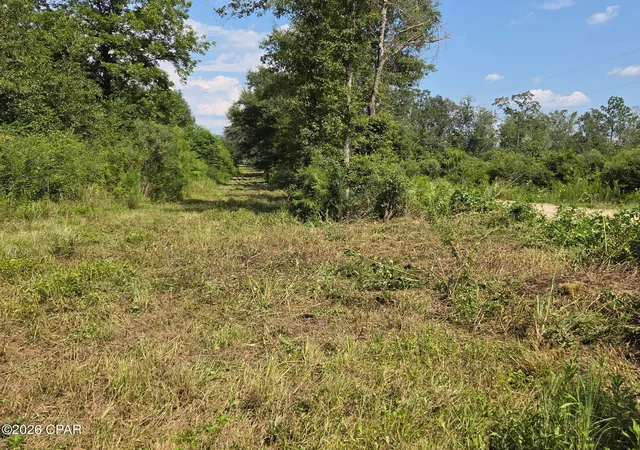 Photo 2 of Land for sale at Tbd Poplar Head Rd, Bonifay, FL 32425 | MLS# 794697 | Listing updated on 2026-09-18