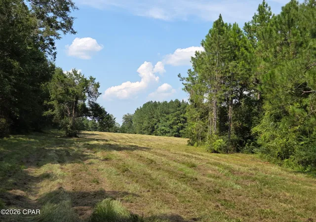 Photo 3 of Land for sale at Tbd Poplar Head Rd, Bonifay, FL 32425 | MLS# 794697 | Listing updated on 2026-09-18