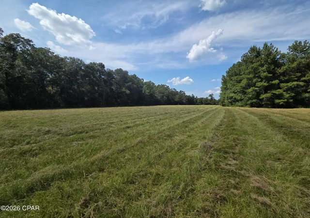 Photo 4 of Land for sale at Tbd Poplar Head Rd, Bonifay, FL 32425 | MLS# 794697 | Listing updated on 2026-09-18