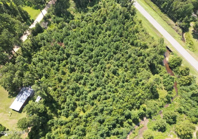 Photo 3 of Land for sale at 0000 Canary Rd, Graceville, FL 32440 | MLS# 794718 | Listing updated on 2026-08-28