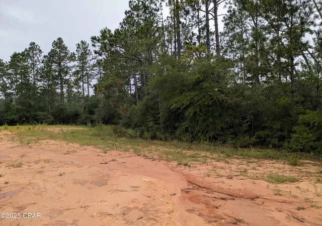 Photo 1 of Land for sale at 0 Deshutes Dr, Alford, FL 32420 | MLS# 794727 | Listing updated on 2026-08-28