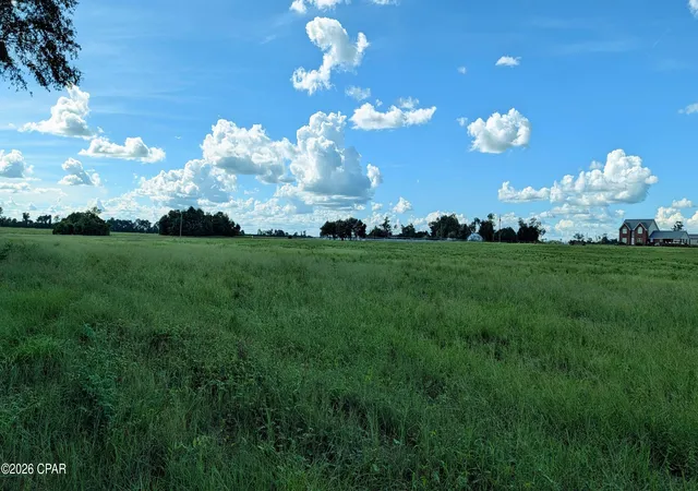 Land for sale at 0 Chestnut Ln, Greenwood, FL 32443 | MLS# 794823