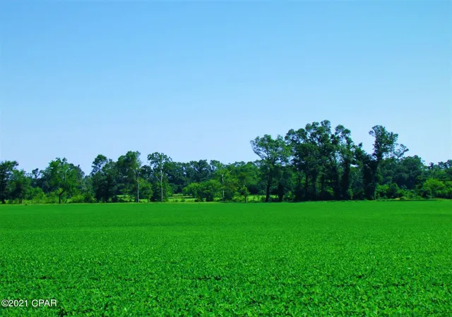 Photo 2 of Land for sale at 0 Chestnut Ln, Greenwood, FL 32443 | MLS# 794823 | Listing updated on 2026-09-16