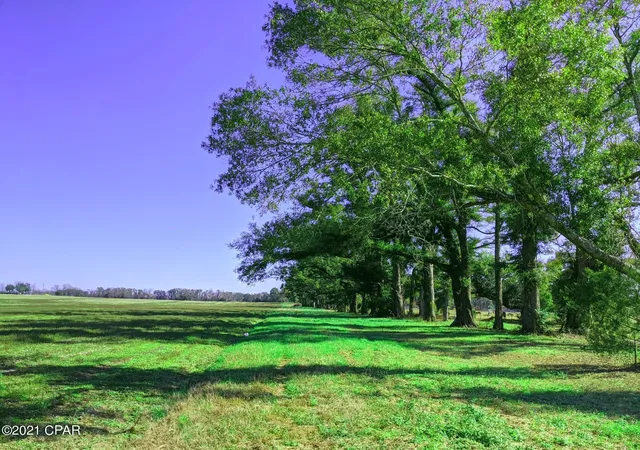 Photo 3 of Land for sale at 0 Chestnut Ln, Greenwood, FL 32443 | MLS# 794823 | Listing updated on 2026-09-16