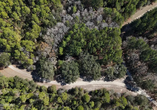 Photo 2 of Land for sale at 00 Canopy Oak Blvd, Bonifay, FL 32425 | MLS# 794894 | Listing updated on 2026-09-02