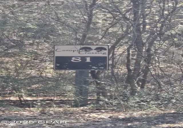 Photo 3 of Land for sale at 00 Canopy Oak Blvd, Bonifay, FL 32425 | MLS# 794894 | Listing updated on 2026-09-02