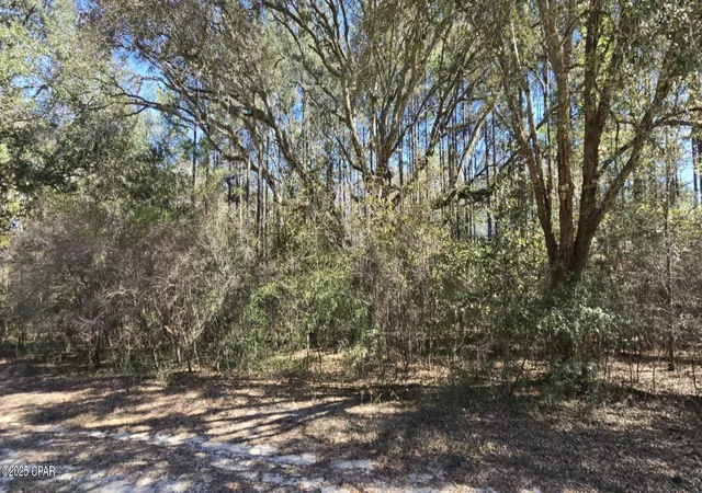 Photo 3 of Land for sale at 00 Canopy Oak Blvd, Bonifay, FL 32425 | MLS# 794894 | Listing updated on 2026-09-02
