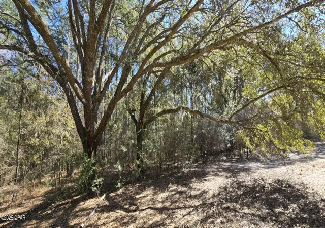 Photo 4 of Land for sale at 00 Canopy Oak Blvd, Bonifay, FL 32425 | MLS# 794894 | Listing updated on 2026-09-02