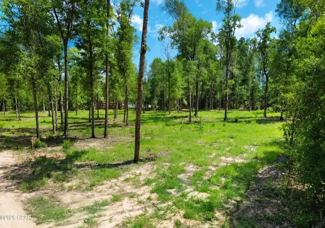 Land for sale at 0 N Silver Lake Ln, Marianna, FL 32448 | MLS# 794897