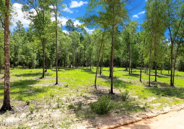 Photo 2 of Land for sale at 0 N Silver Lake Ln, Marianna, FL 32448 | MLS# 794897 | Listing updated on 2026-09-09