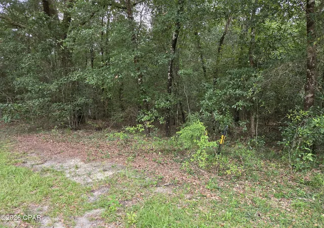 Photo 1 of Land for sale at 0000 Quail Ridge Dr, Chipley, FL 32428 | MLS# 795038 | Listing updated on 2026-09-04