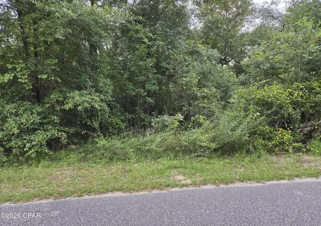 Photo 3 of Land for sale at 0000 Quail Ridge Dr, Chipley, FL 32428 | MLS# 795038 | Listing updated on 2026-09-04