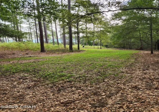 Photo 1 of Land for sale at 1745 Turkey Oak Trl, Bonifay, FL 32425 | MLS# 795041 | Listing updated on 2026-09-17