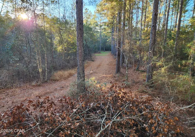 Photo 2 of Land for sale at 1745 Turkey Oak Trl, Bonifay, FL 32425 | MLS# 795041 | Listing updated on 2026-09-17