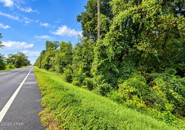 Photo 1 of Land for sale at 0 Highway 162 Rd, Marianna, FL 32446 | MLS# 795079 | Listing updated on 2026-09-09