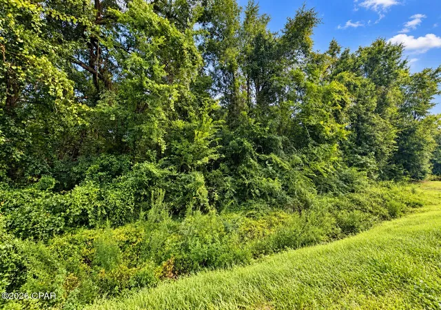 Photo 2 of Land for sale at 0 Highway 162 Rd, Marianna, FL 32446 | MLS# 795079 | Listing updated on 2026-09-09