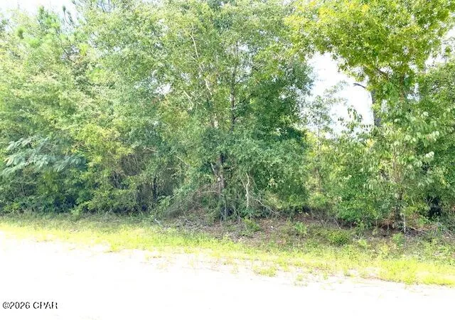 Land for sale at 0 Edison Ave, Alford, FL 32420 | MLS# 795082